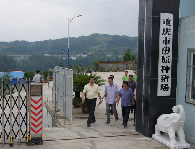 國家鄉(xiāng)村振興局副局長、原黔江區(qū)委書記洪天云視察重慶69